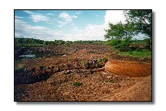 Lindow Moss